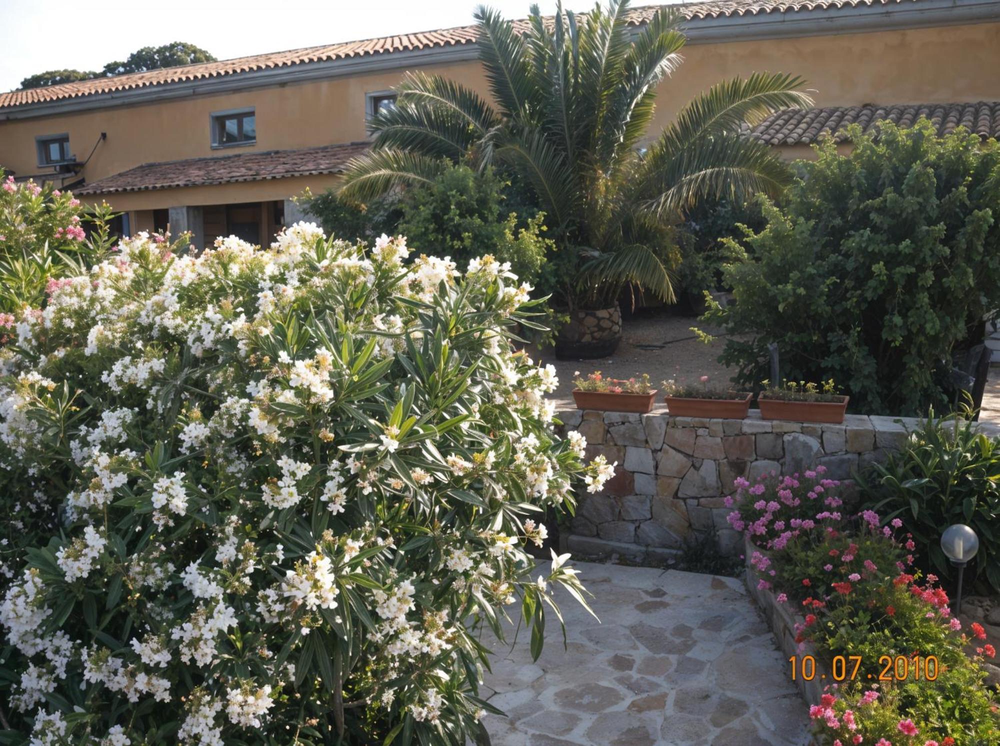 Agriturismo Lu Colbu Trinità dʼAgultu Eksteriør bilde